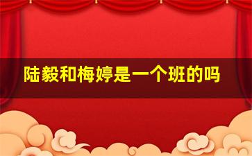 陆毅和梅婷是一个班的吗