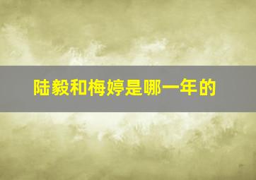 陆毅和梅婷是哪一年的