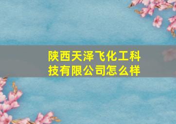 陕西天泽飞化工科技有限公司怎么样