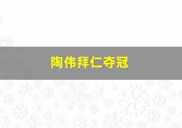 陶伟拜仁夺冠