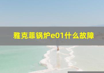 雅克菲锅炉e01什么故障