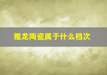 雅龙陶瓷属于什么档次