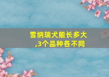 雪纳瑞犬能长多大,3个品种各不同