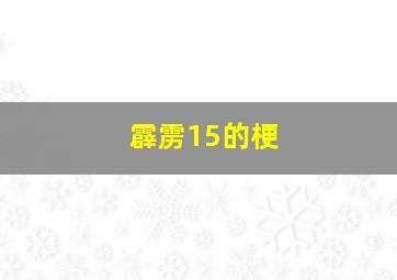 霹雳15的梗