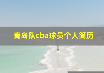 青岛队cba球员个人简历