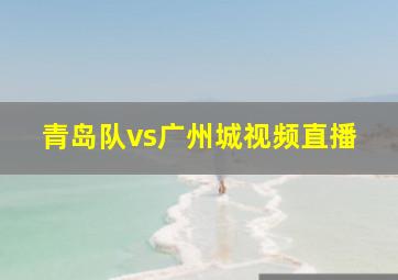 青岛队vs广州城视频直播