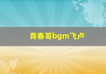 青春哥bgm飞卢