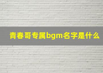 青春哥专属bgm名字是什么