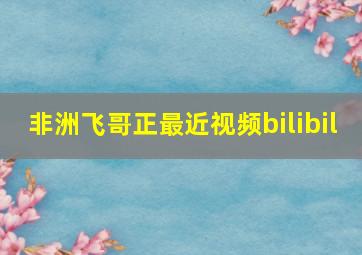 非洲飞哥正最近视频bilibil