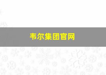 韦尔集团官网