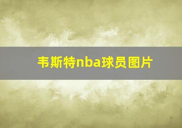 韦斯特nba球员图片