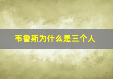 韦鲁斯为什么是三个人