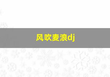 风吹麦浪dj