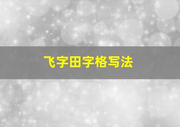 飞字田字格写法