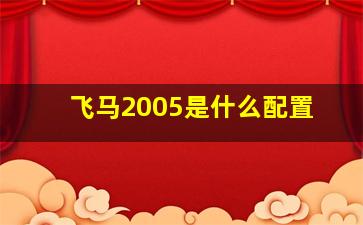 飞马2005是什么配置