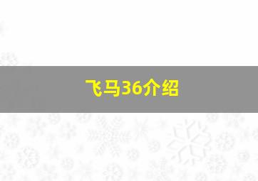 飞马36介绍