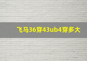 飞马36穿43ub4穿多大