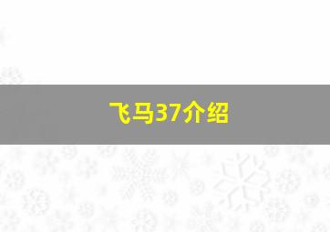 飞马37介绍