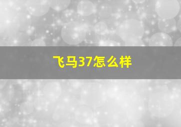 飞马37怎么样