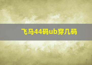 飞马44码ub穿几码