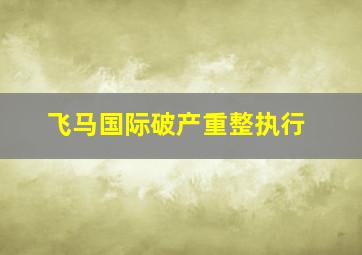 飞马国际破产重整执行