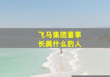 飞马集团董事长属什么的人