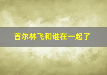 首尔林飞和谁在一起了