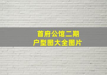 首府公馆二期户型图大全图片