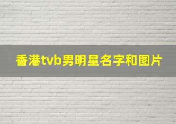 香港tvb男明星名字和图片