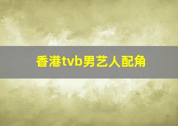 香港tvb男艺人配角