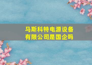 马斯科特电源设备有限公司是国企吗