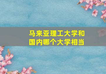 马来亚理工大学和国内哪个大学相当