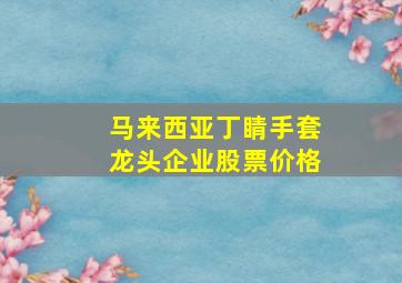 马来西亚丁睛手套龙头企业股票价格