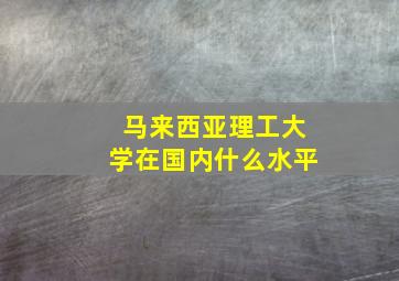 马来西亚理工大学在国内什么水平