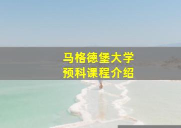 马格德堡大学预科课程介绍