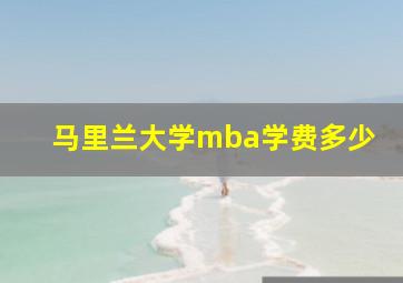 马里兰大学mba学费多少