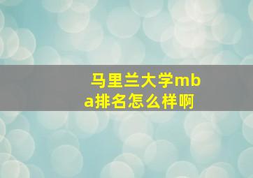 马里兰大学mba排名怎么样啊