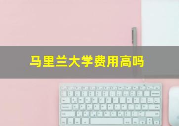 马里兰大学费用高吗