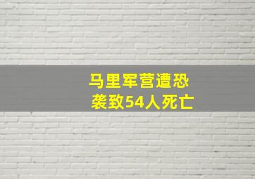 马里军营遭恐袭致54人死亡