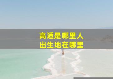 高适是哪里人出生地在哪里