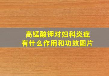 高锰酸钾对妇科炎症有什么作用和功效图片