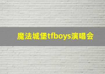 魔法城堡tfboys演唱会