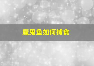 魔鬼鱼如何捕食