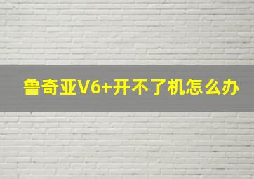 鲁奇亚V6+开不了机怎么办