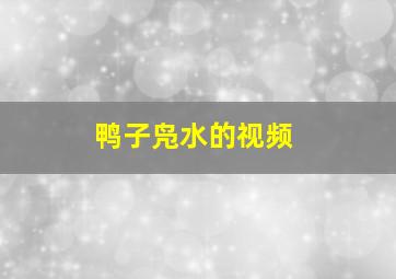 鸭子凫水的视频