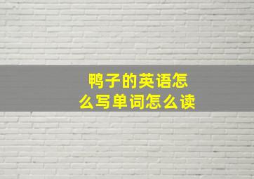 鸭子的英语怎么写单词怎么读