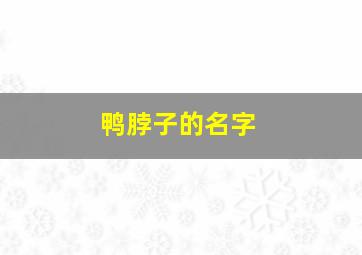 鸭脖子的名字