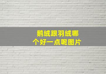 鹅绒跟羽绒哪个好一点呢图片