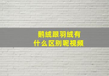 鹅绒跟羽绒有什么区别呢视频