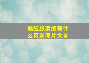 鹅绒跟羽绒有什么区别图片大全